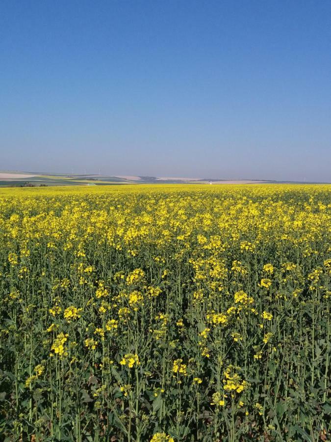 Ferme Du Mont Moret Apartman Courdemanges Kültér fotó